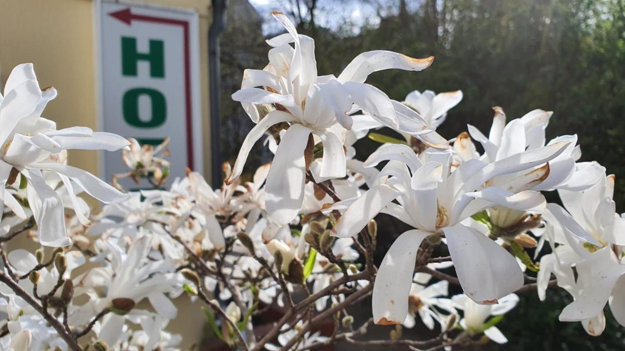 Bornholmer Hof Im Prenzlauer Berg برلين المظهر الخارجي الصورة